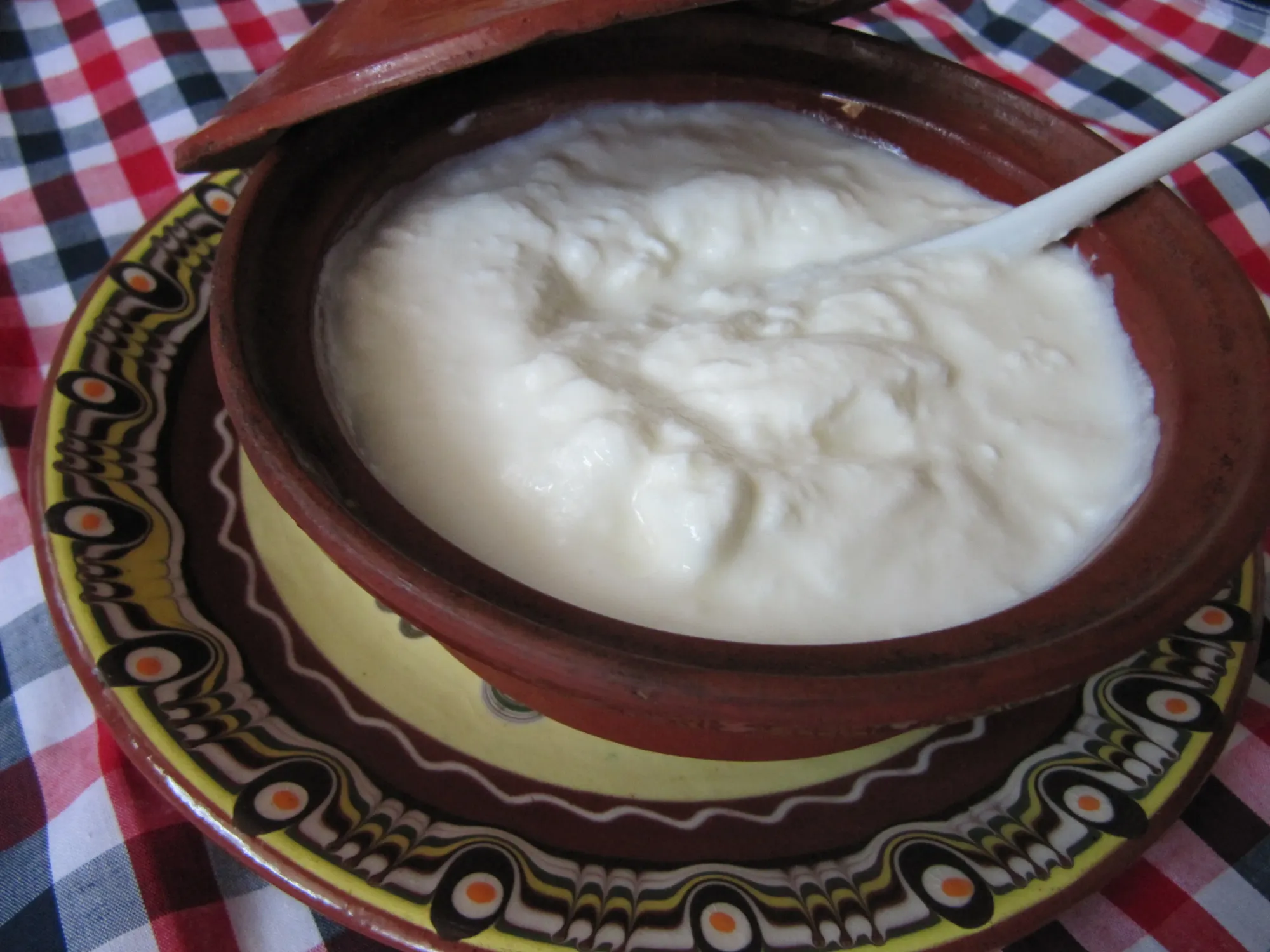 Natural yogurt is a source of probiotics