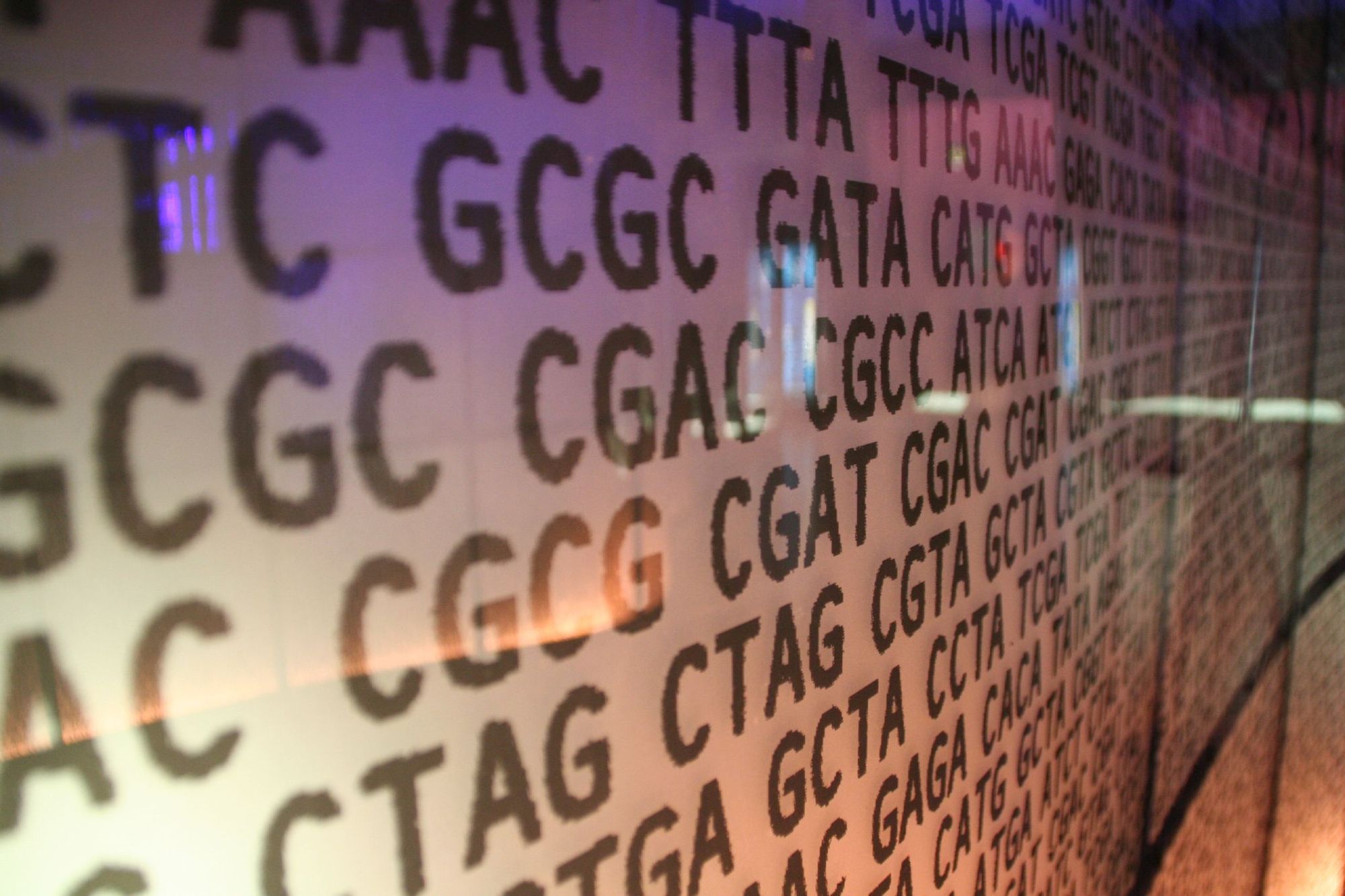 5 Useful Things I learned from Having My Genome Tested