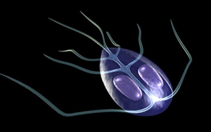 Chronic giardia mimics IBS